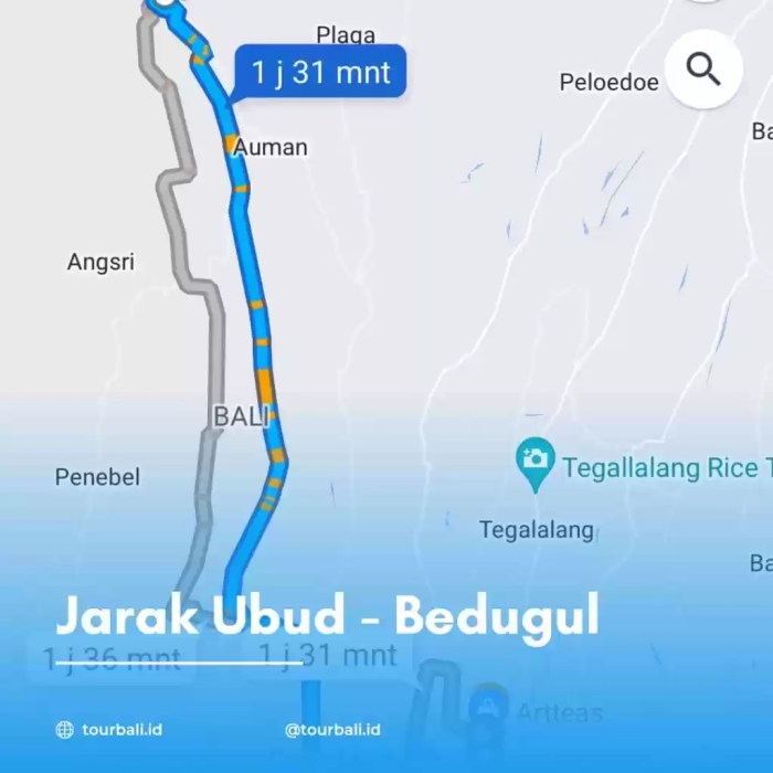 jarak denpasar ke bedugul terbaru