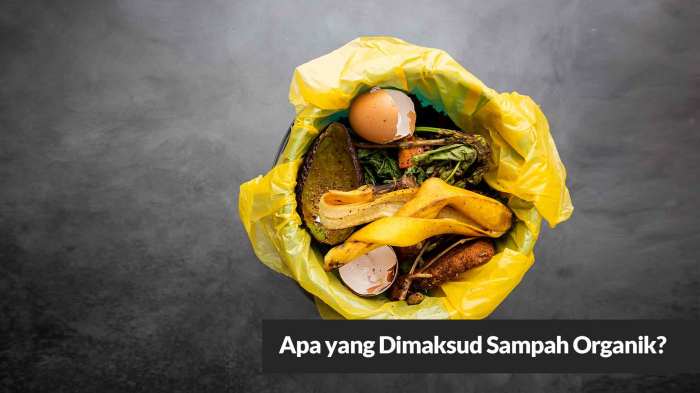 sampah jenis diterima inspirasi bumi