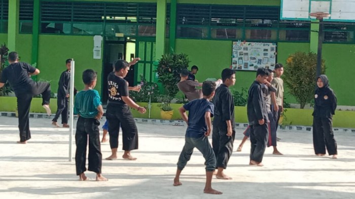 tendangan sabit pencak silat