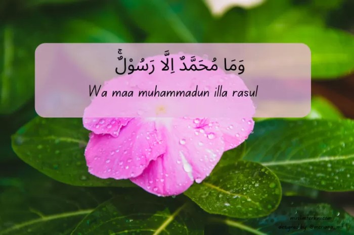 surah wama muhammadun illa rasul