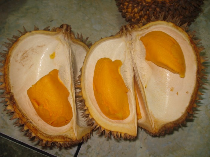 bagai mentimun dengan durian