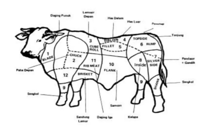 bagian tubuh sapi dan kegunaannya terbaru