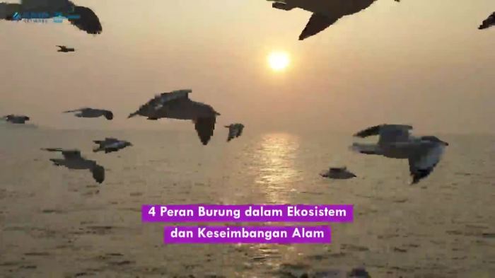 ekosistem keseimbangan peran menjaga manusia besar seberapa alasan jelas kemukakan