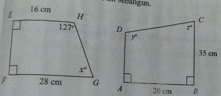 dua buah bangun di bawah ini sebangun terbaru