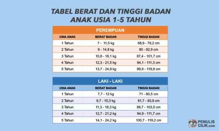 berat badan anak usia 8 tahun terbaru