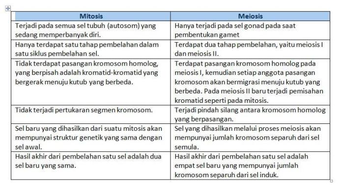 Buatlah tabel perbedaan mitosis dan meiosis