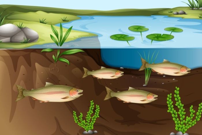 ekosistem danau biotik dan abiotik