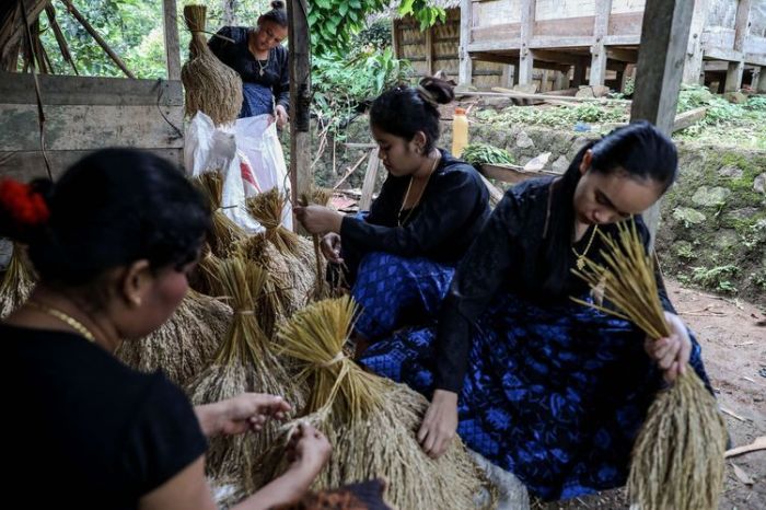 mata pencaharian di desa