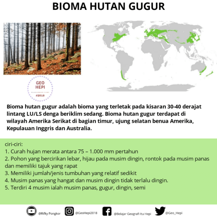 flora dan fauna hutan gugur terbaru