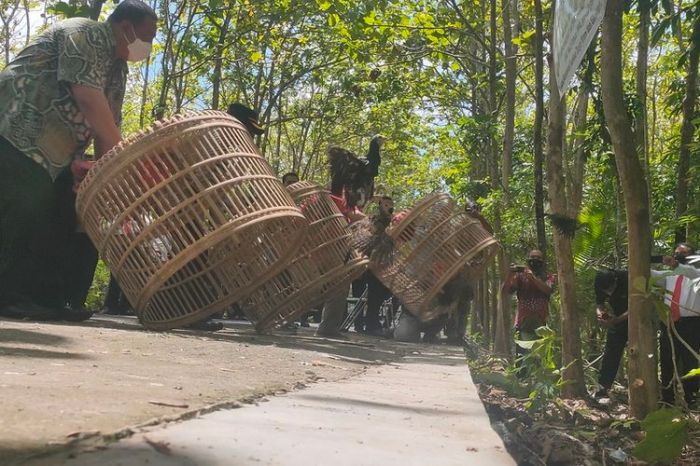 kegiatan menekan dan melepas tombol