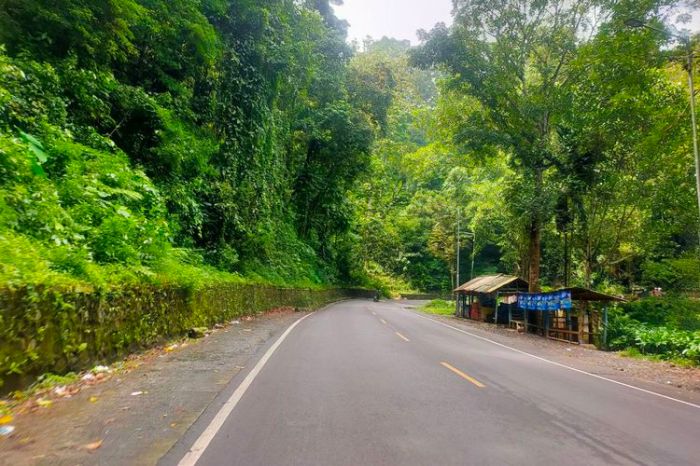 jarak jember ke banyuwangi terbaru