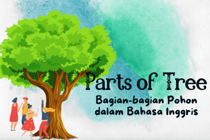 bahasa inggris batang pohon