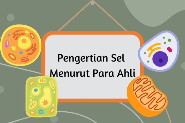 untuk memberi bingkai pada sel terbaru