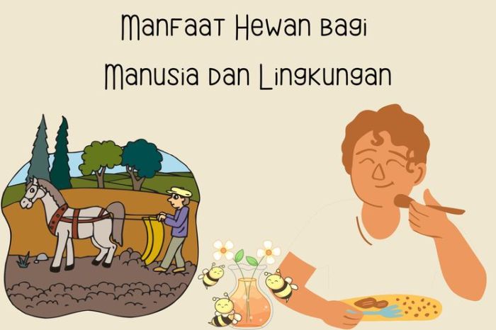 manfaat ayam bagi manusia dan lingkungan