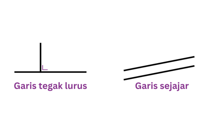 garis tegak lurus pada kubus