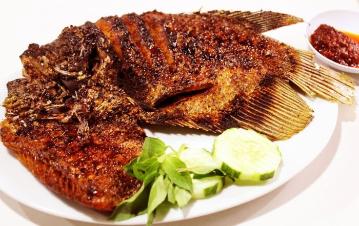 ikan gurame umur 4 bulan terbaru