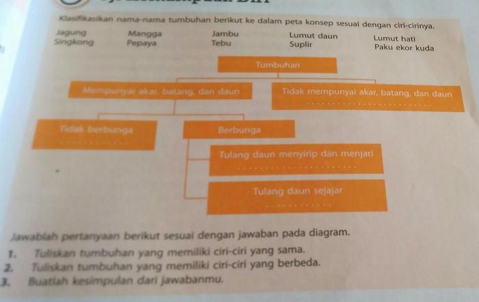 paku suplir tanaman pakis hias tanduk rusa daun tumbuhan manfaat sarang kadaka kelabang burung taman rumput ciri sirih pohon tersembunyi