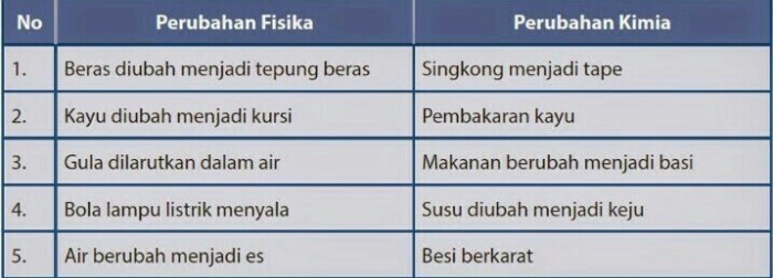 perbedaan fisika dan biologi terbaru