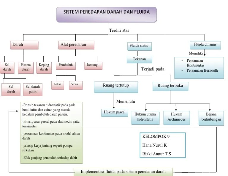 peta konsep sistem sirkulasi