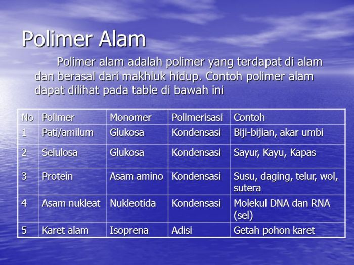 polimer alam ditunjukkan oleh nomor