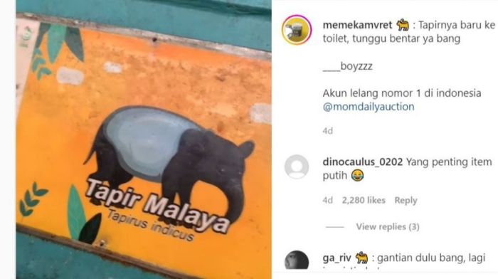 kesehatan binatang bermanfaat memberikan telah mulai besar kontribusi berbagai