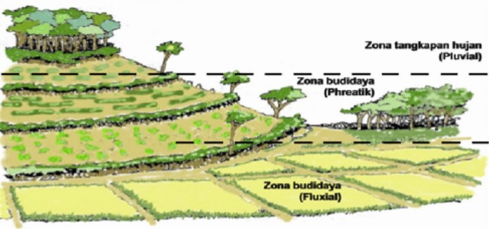 metode vegetatif konservasi tanah terbaru