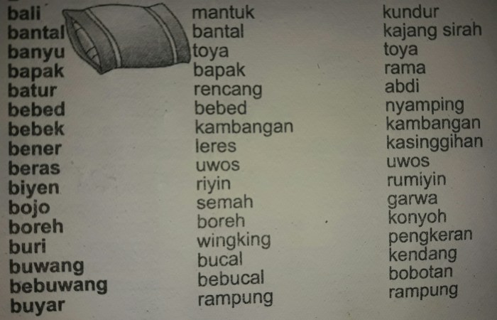 bahasa krama nyapu latar