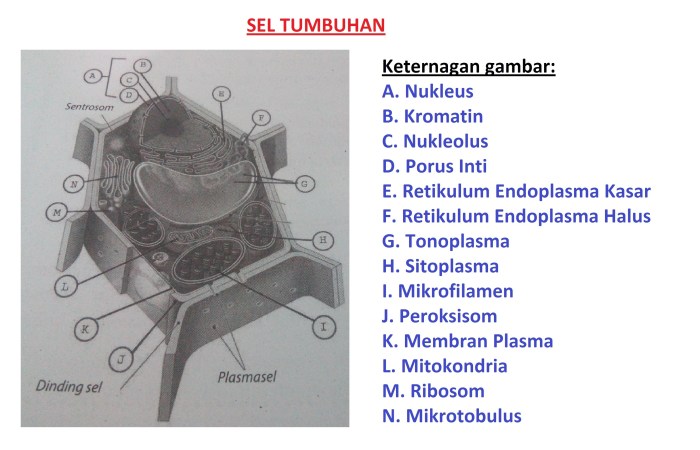 perhatikan data di bawah ini terbaru