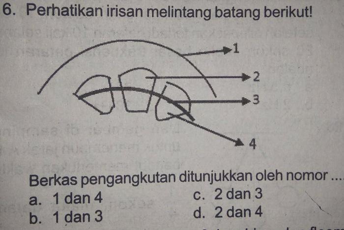 Berkas pengangkutan ditunjukkan oleh nomor