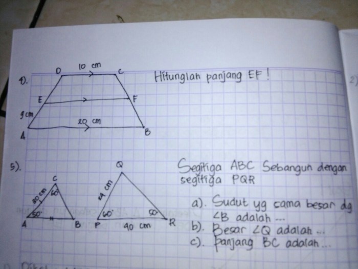 soal kesebangunan foto dan karton