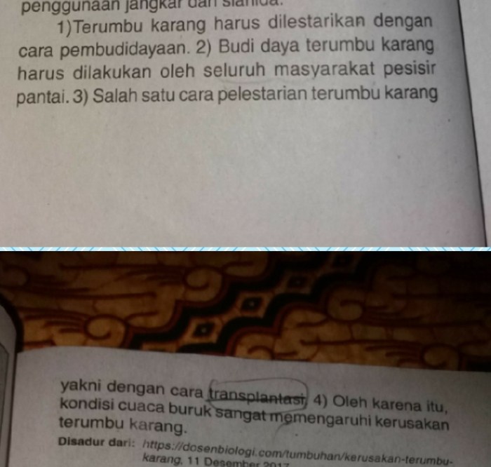 kalimat penjelas tidak padu