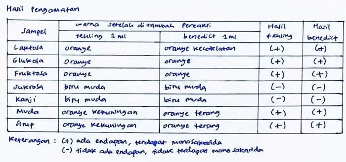 uji karbohidrat percobaan hasil pengamatan