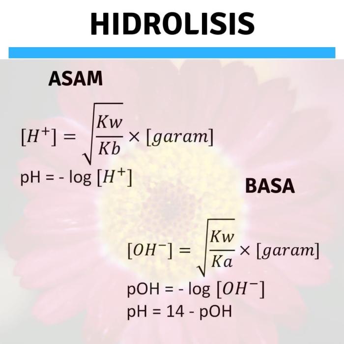 rumus hidrolisis penurunan garam