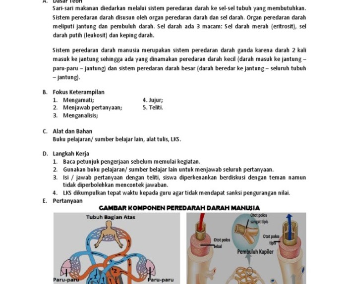 soal hots sistem peredaran darah kelas 8