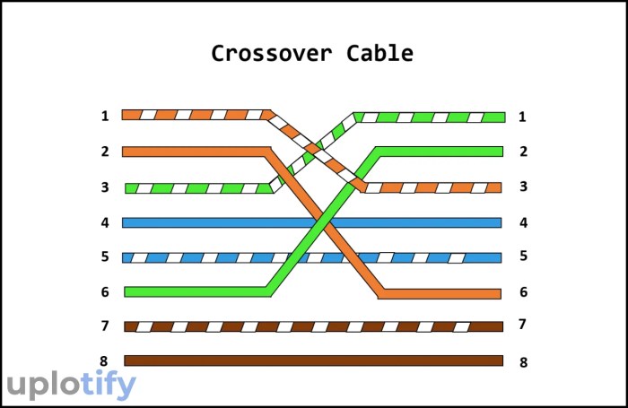 kabel straight dan crossover terbaru