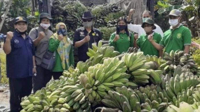 jantung pisang yang tidak boleh dimakan terbaru