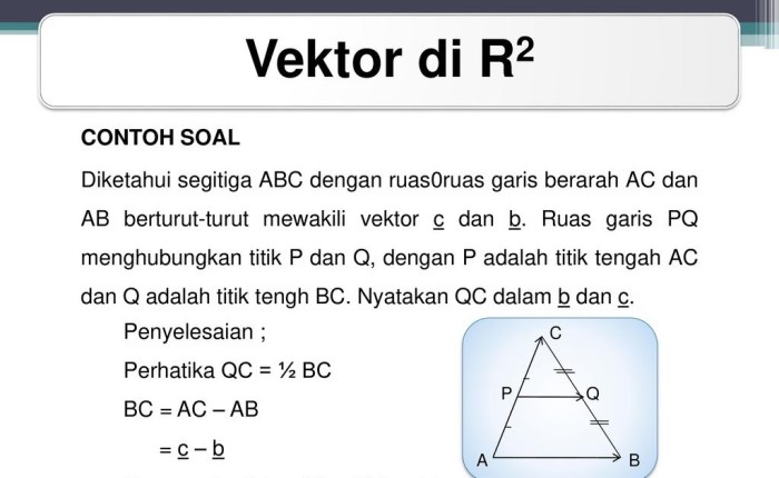 contoh soal panjang vektor terbaru