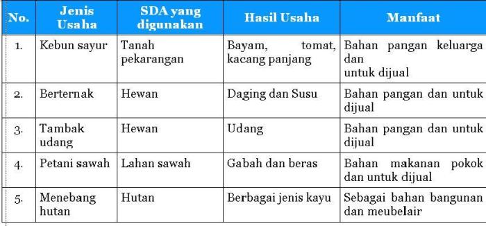 contoh sumber daya usaha terbaru