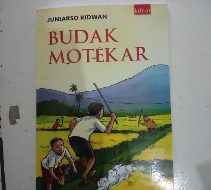 materi novel bahasa sunda