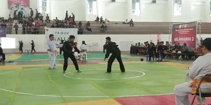 unsur unsur pencak silat kecuali terbaru