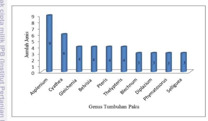 kunci determinasi tumbuhan paku