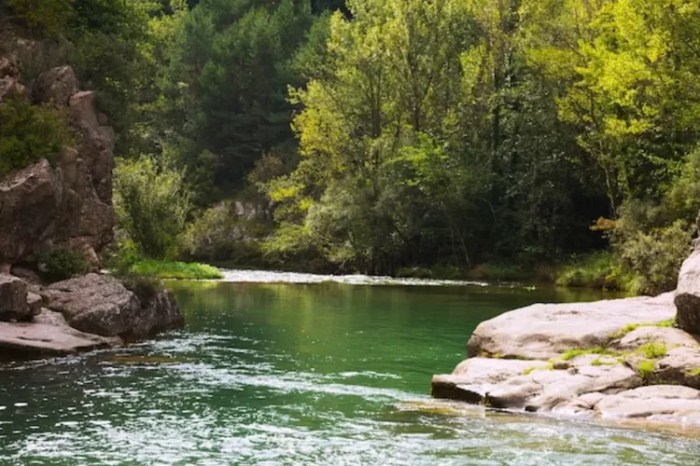 sungai danau pengertian manfaatnya jenis makalah