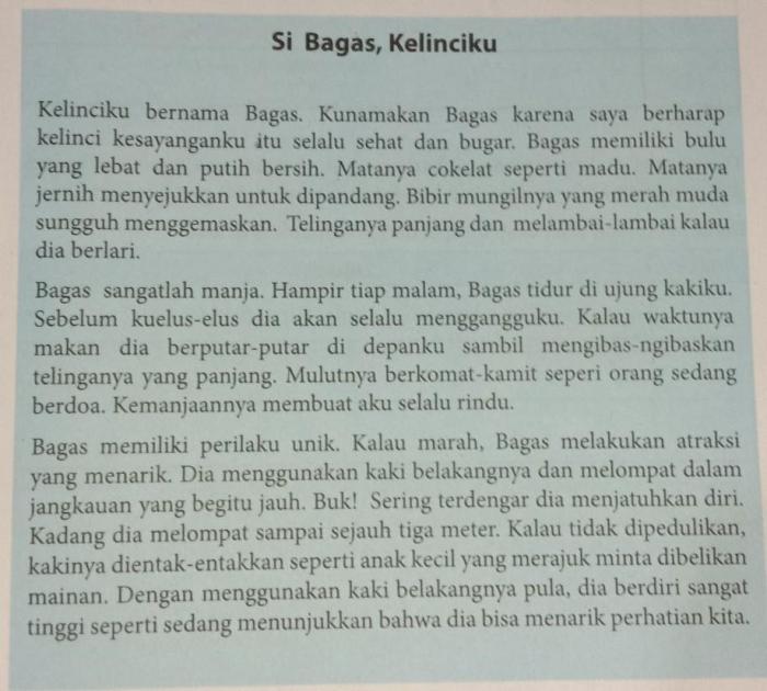 cerita deskripsi tentang sekolah