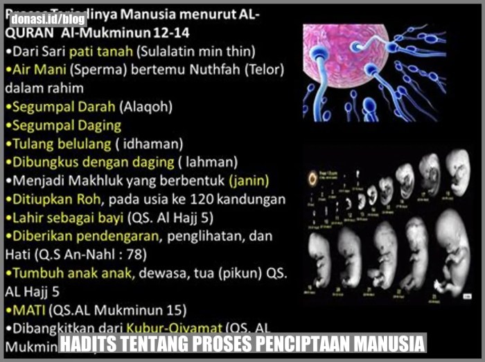 manusia hadits tentang penciptaan riwayat