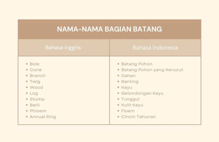 bahasa inggris batang pohon