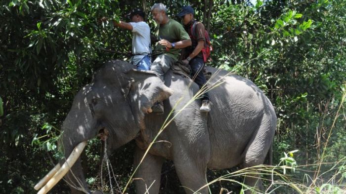 gajah dipelupuk mata tak tampak