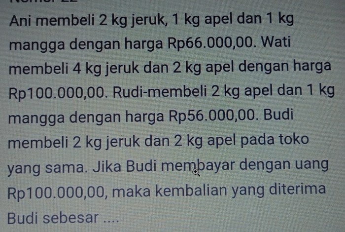 ani membeli 2 kg jeruk dan 4 kg apel terbaru