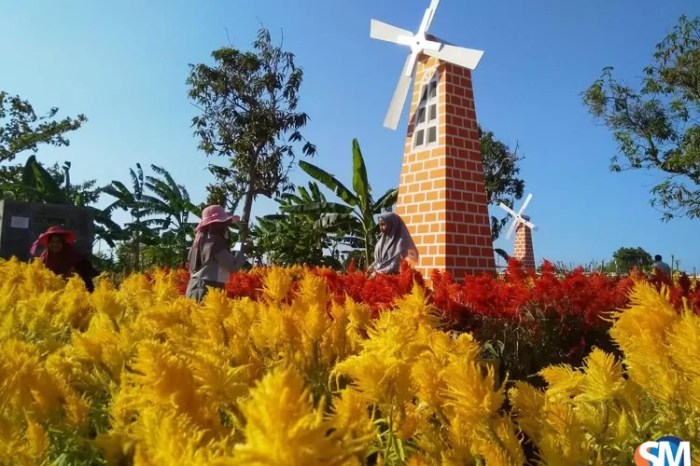 taman bunga nusantara wisata puncak masuk keindahan tiket alamat ibnu adam baca lajut