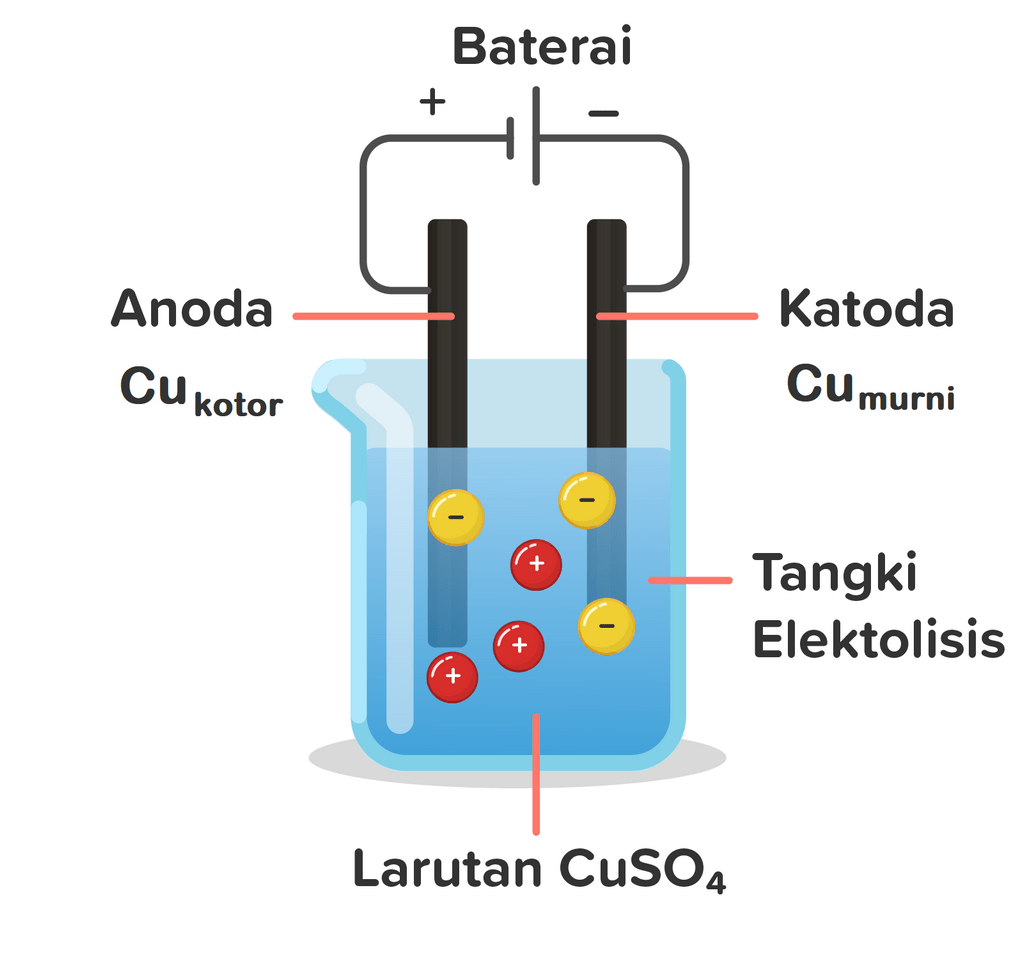 larutan cuso4 dengan elektroda cu