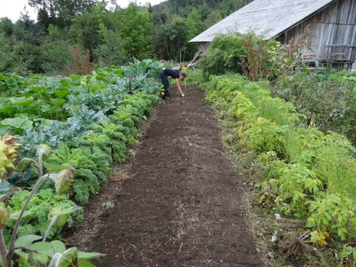 nama nama kebun pertanian terbaru